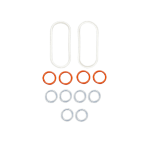 Candela Laser Head Seal Kit O-Ring Oval O-Ring New Style CACN1473 E4 G35-A